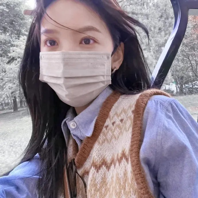 回家 (2008年电影)